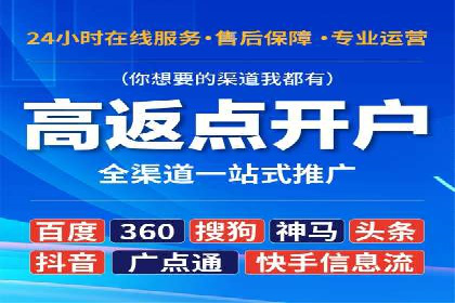 SEM代理实战：成功案例分享与经验总结